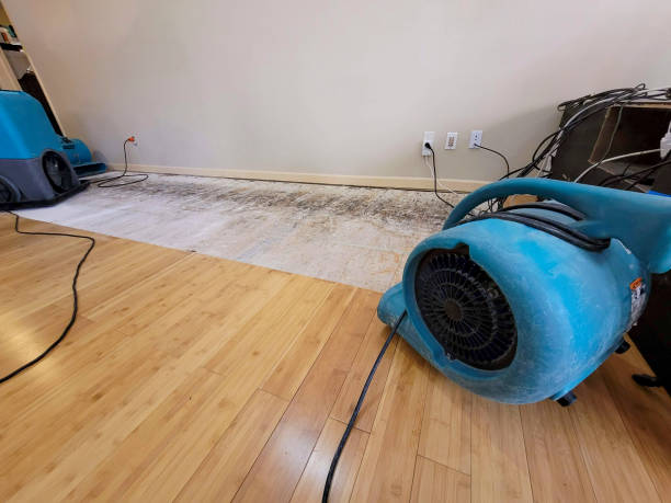 Professional Flood Damage Cleanup technician working in Bowman, SC